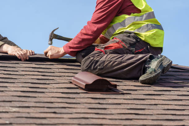 Best Commercial Roofing Services  in Muscle Shos, AL