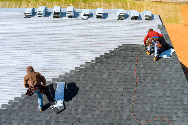 Best Shingle Roofing Installation  in Muscle Shos, AL