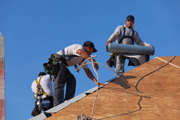 Best Roof Maintenance Services  in Muscle Shos, AL