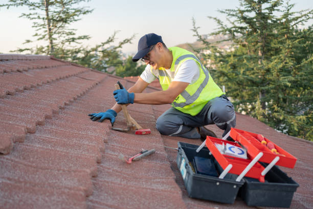 Best Roofing Contractor Near Me  in Muscle Shos, AL