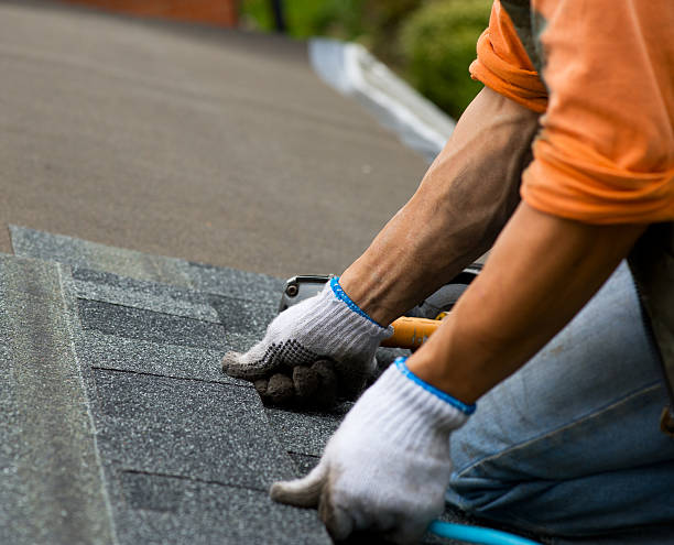 Best Residential Roof Replacement  in Muscle Shos, AL