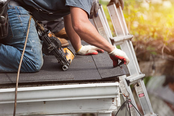 Best Roof Restoration Services  in Muscle Shos, AL