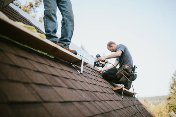 Roof Waterproofing Services in Muscle Shoals, AL