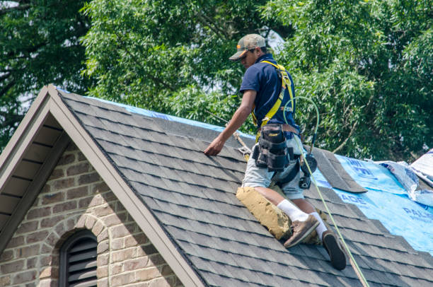 Best Best Roofing Contractors  in Muscle Shos, AL