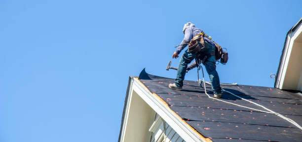 Best Commercial Roof Installation  in Muscle Shos, AL