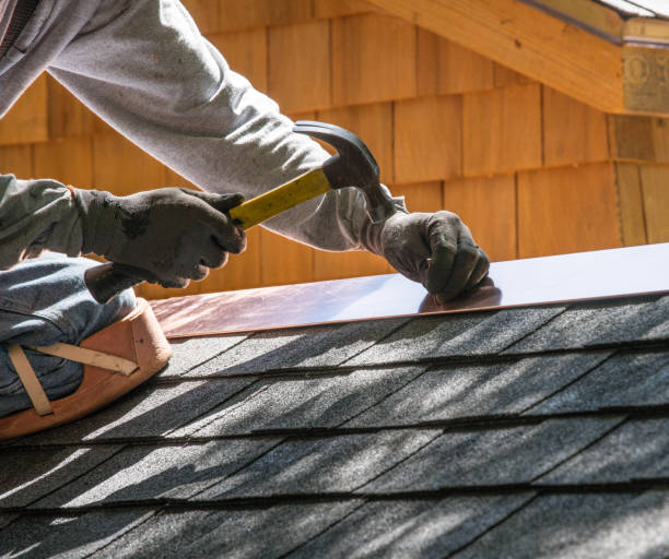 Best Commercial Roofing Services  in Muscle Shos, AL